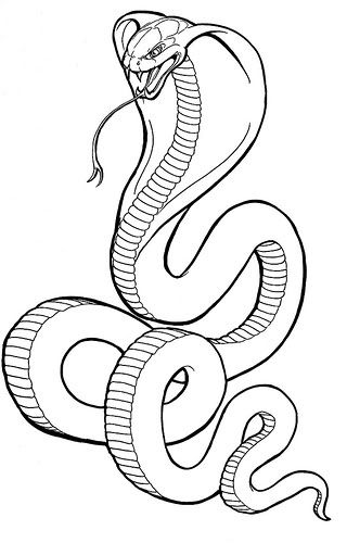 Cobra Drawing Photo by MetroidBounty20 | Photobucket