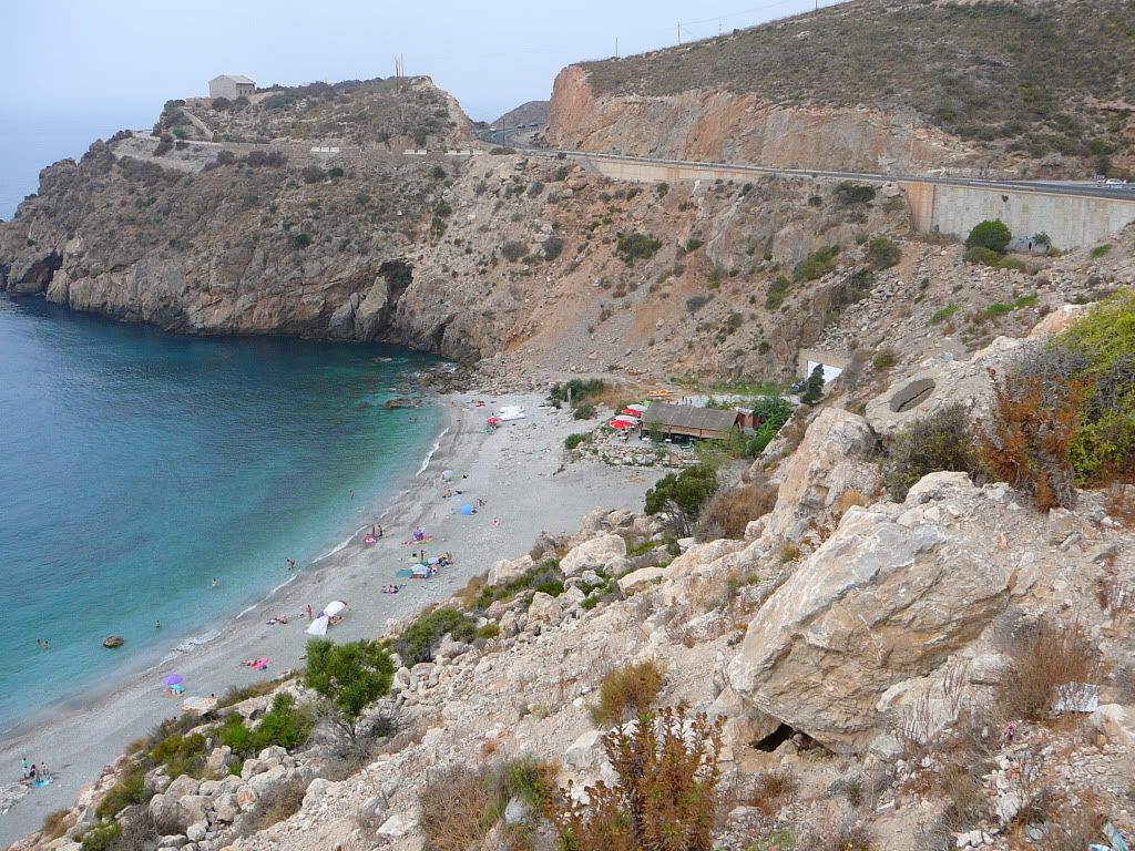 P1000746.jpg