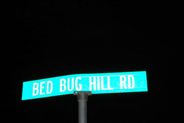 bug hill