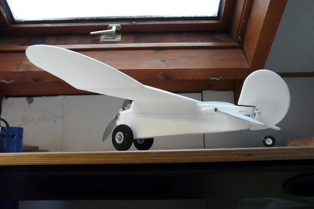 P1090046.jpg