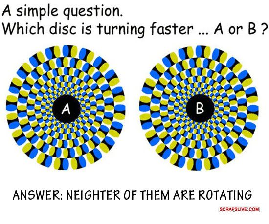 opticalillusion.jpg