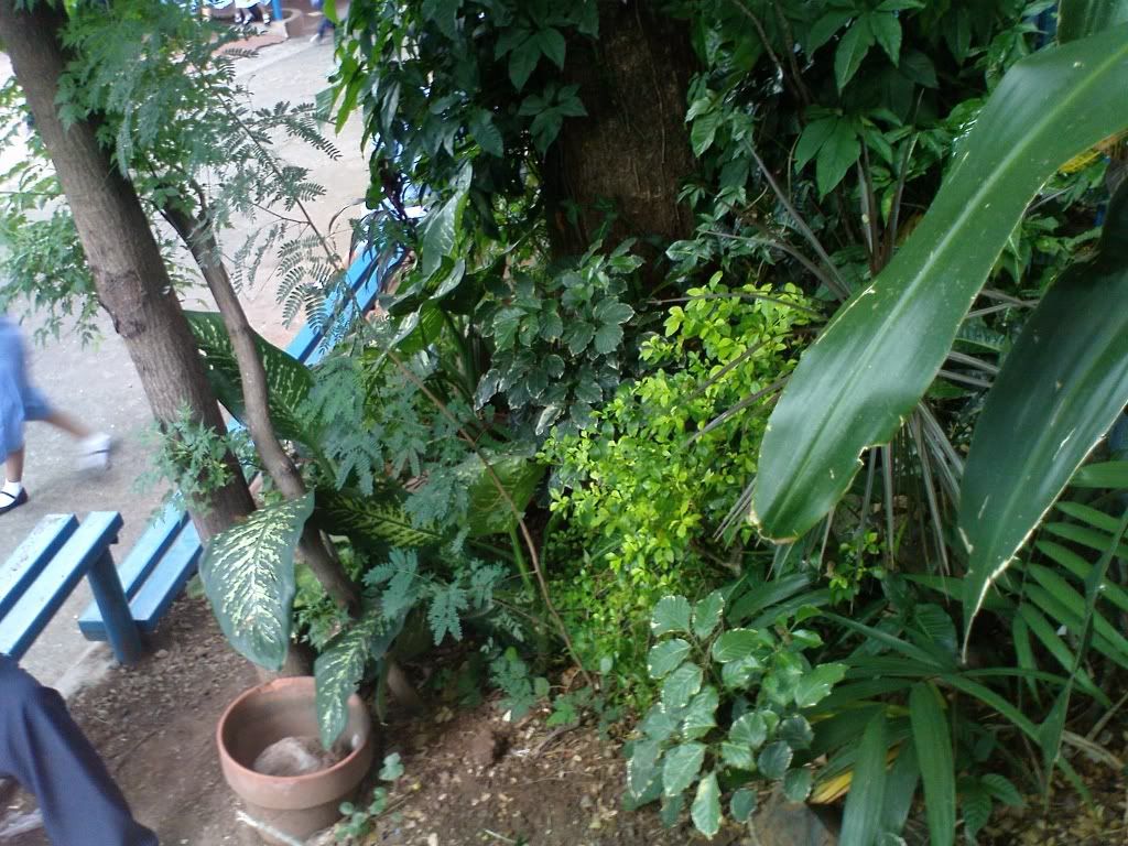 ecosystem