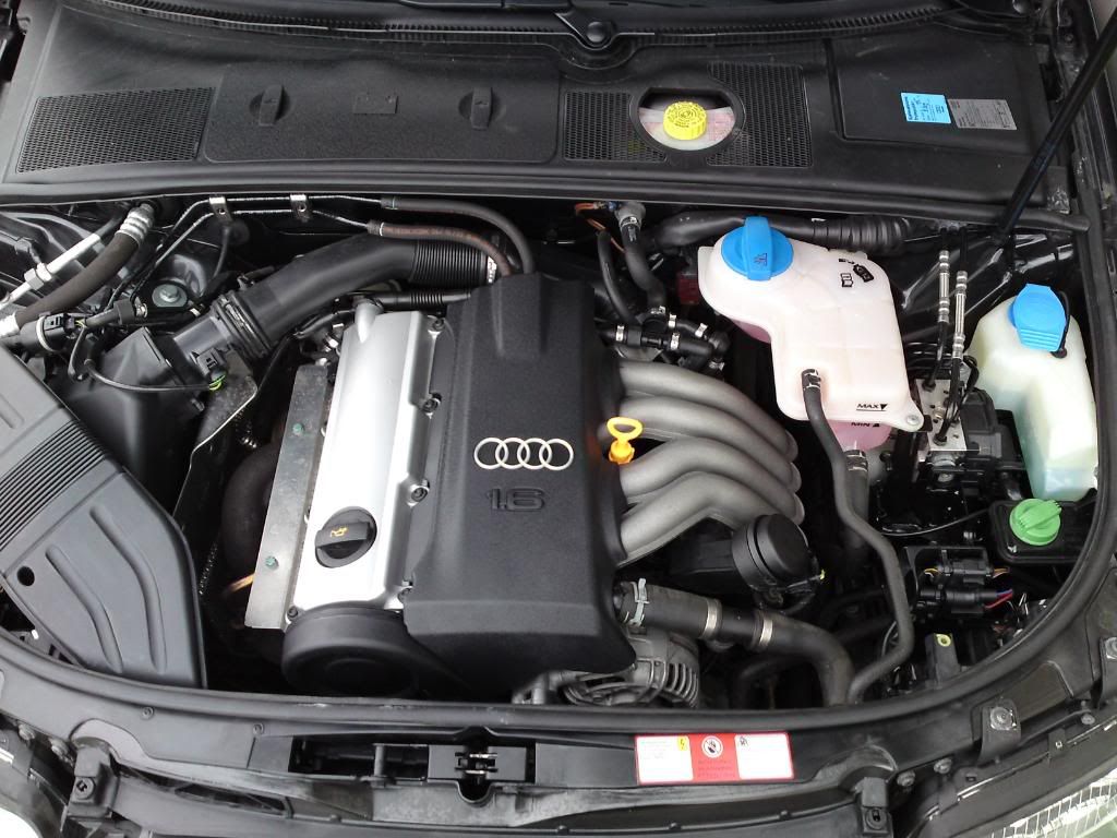 P07-06-09_1432.jpg?t=1244490455