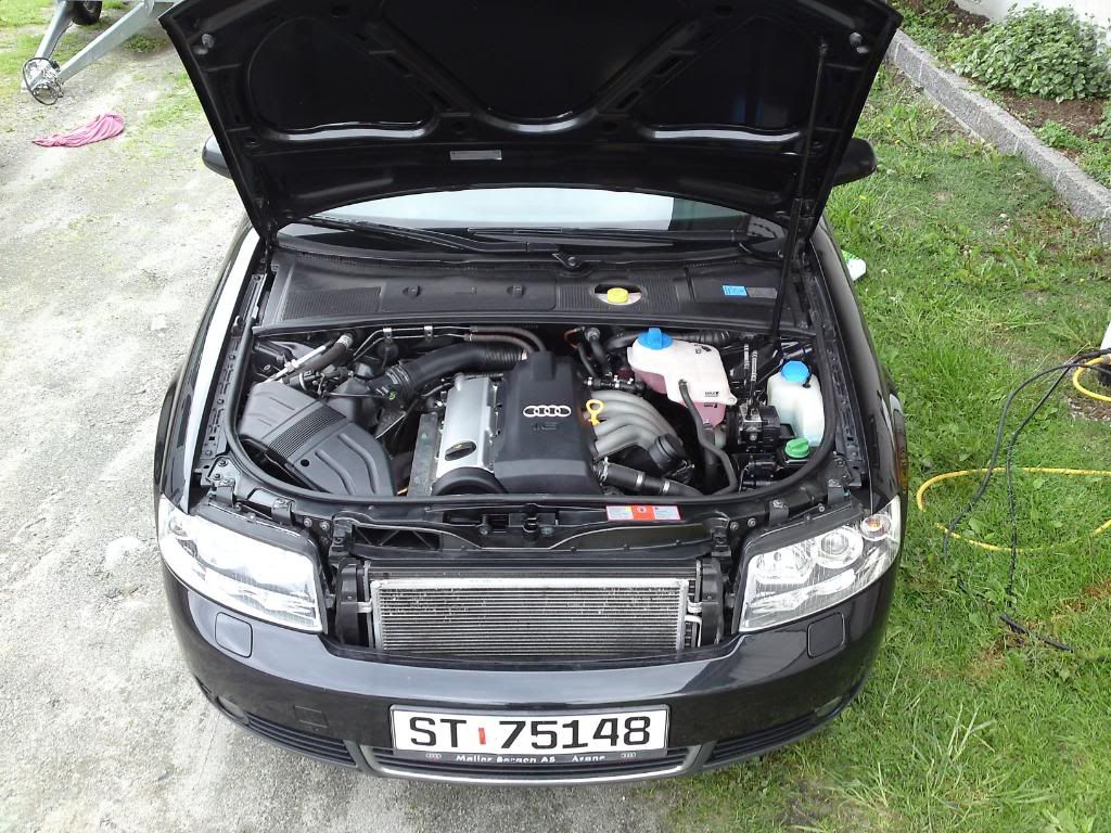 P07-06-09_1433.jpg?t=1244490537