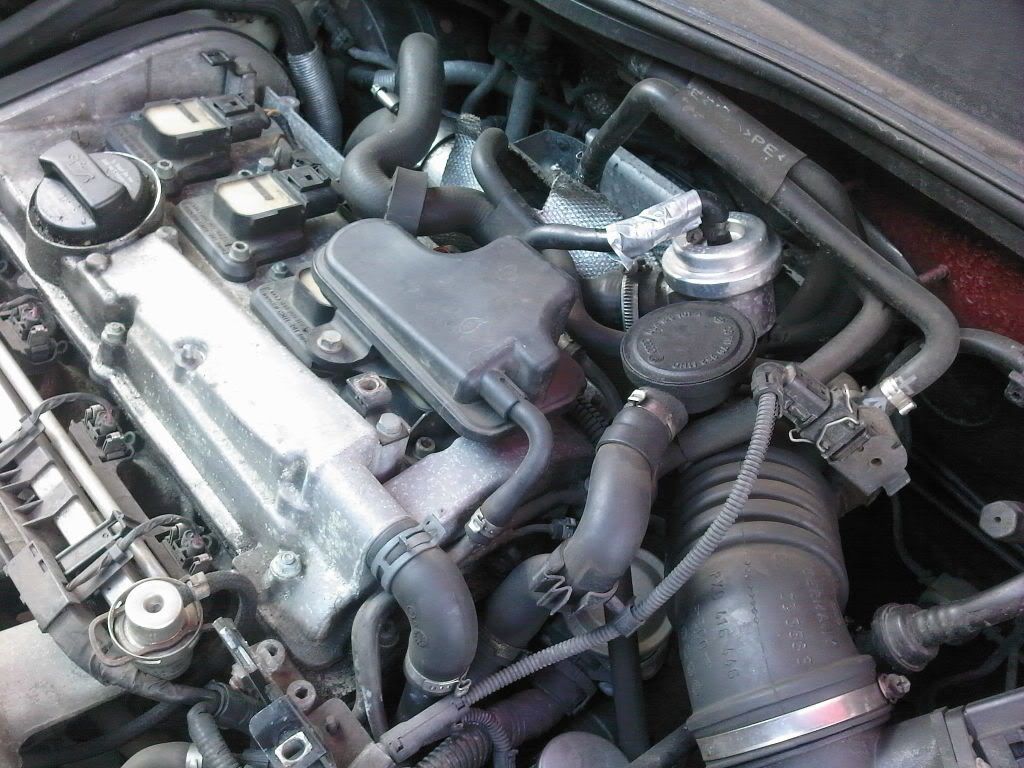 040709165412.jpg