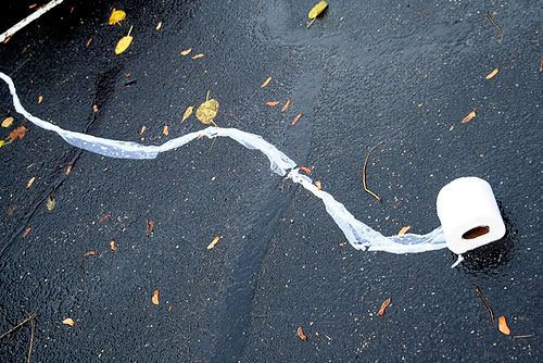 Toilet Paper Roll Over