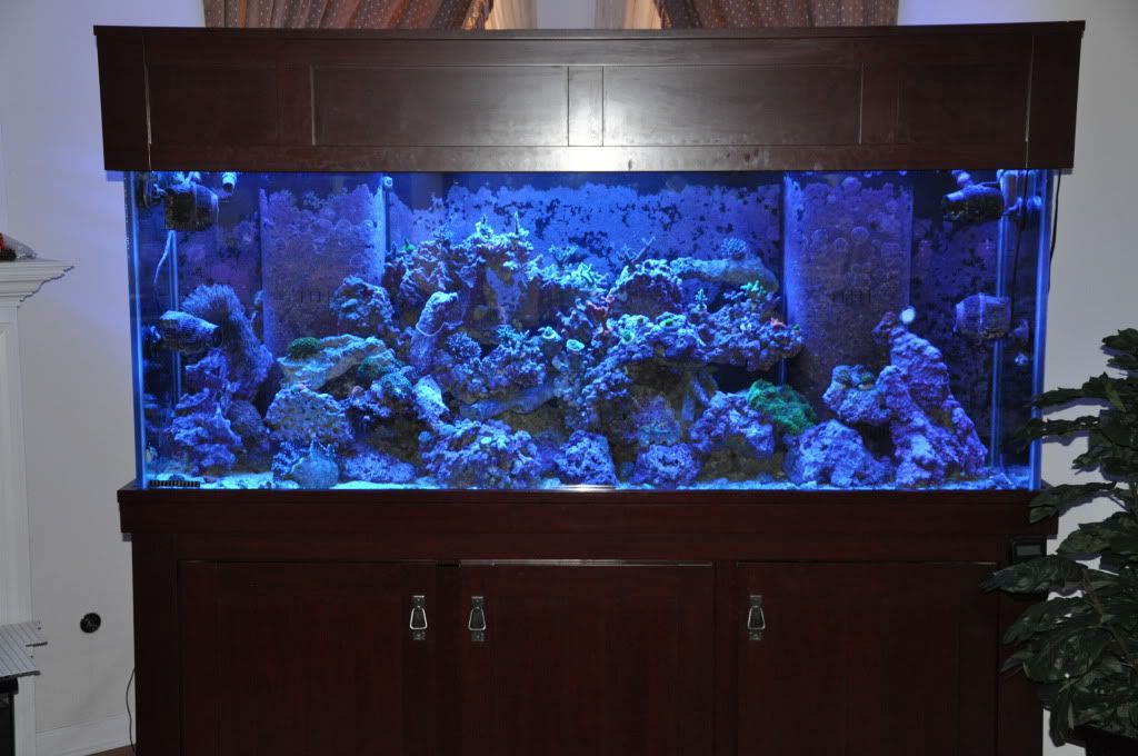 150 Gallon AGA Tank/Stand/Canopy for Sale Monroe NJ (08831