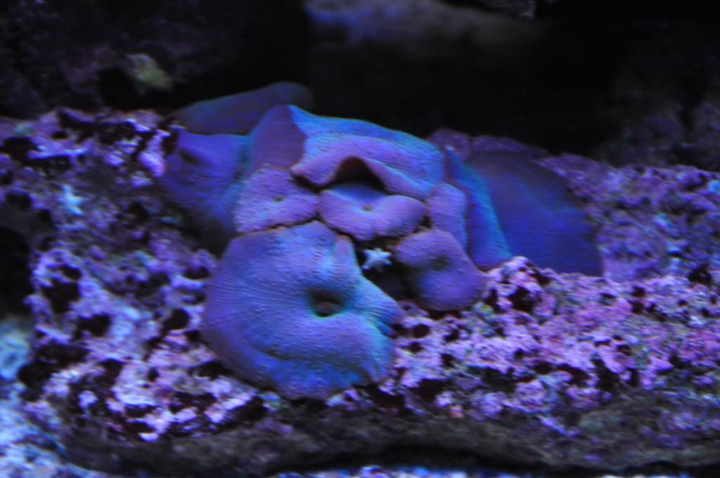 DSC_0112.jpg