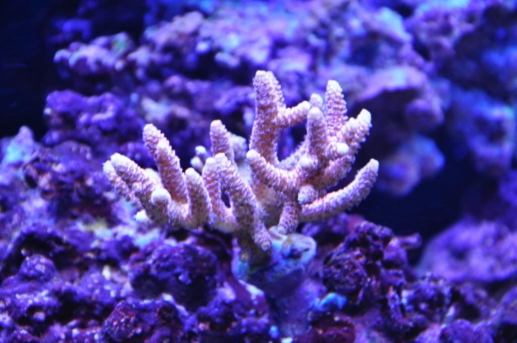 DSC_0128.jpg
