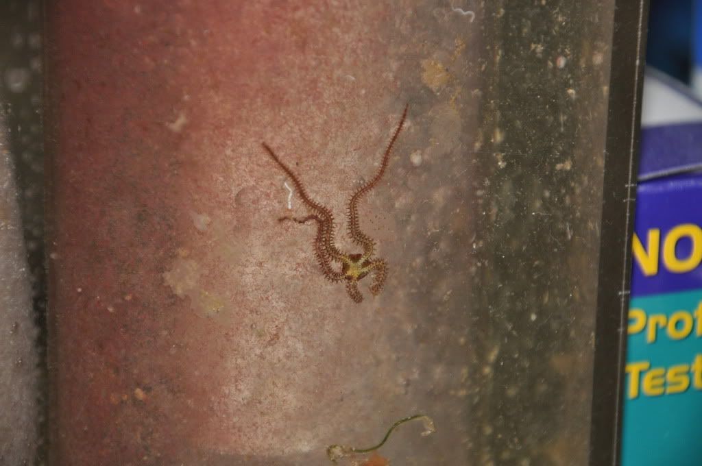 DSC_2045.jpg