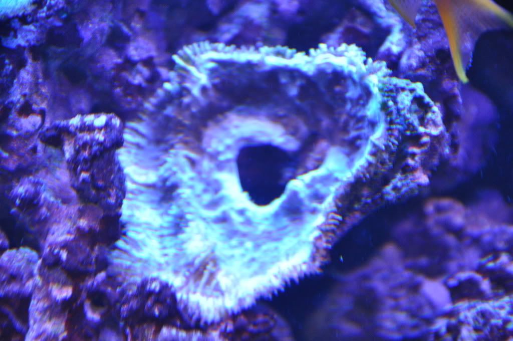 DSC_2067.jpg