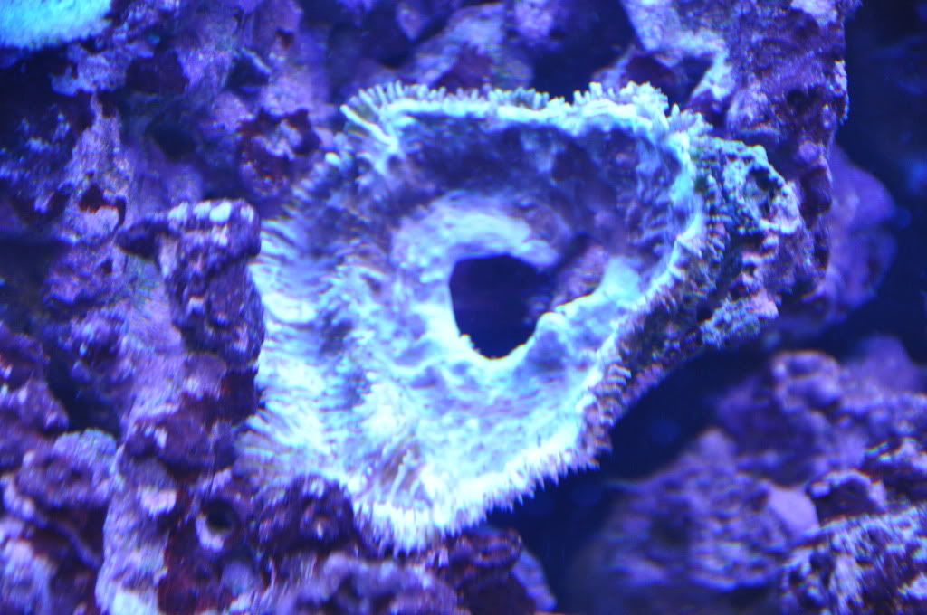 DSC_2068.jpg