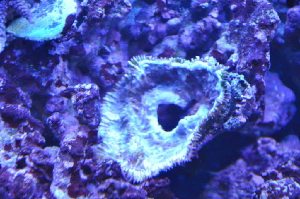 DSC_2074.jpg