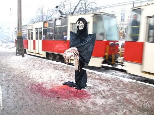14. Piotr Kras - Demonstracja „Antyfutro”