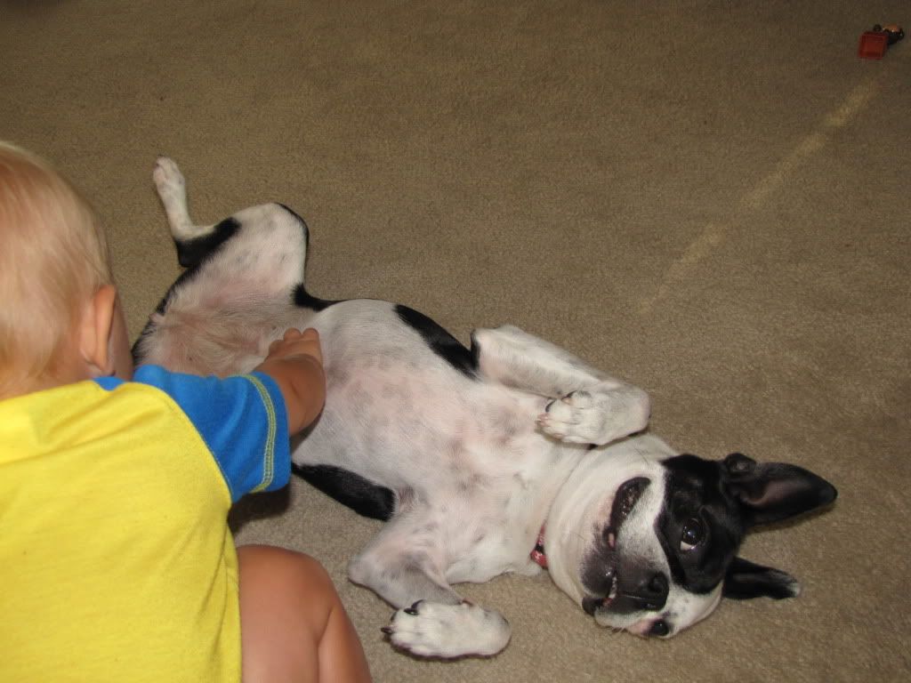 IMAGE: http://i681.photobucket.com/albums/vv178/tcpock/Other/Aug20101004.jpg