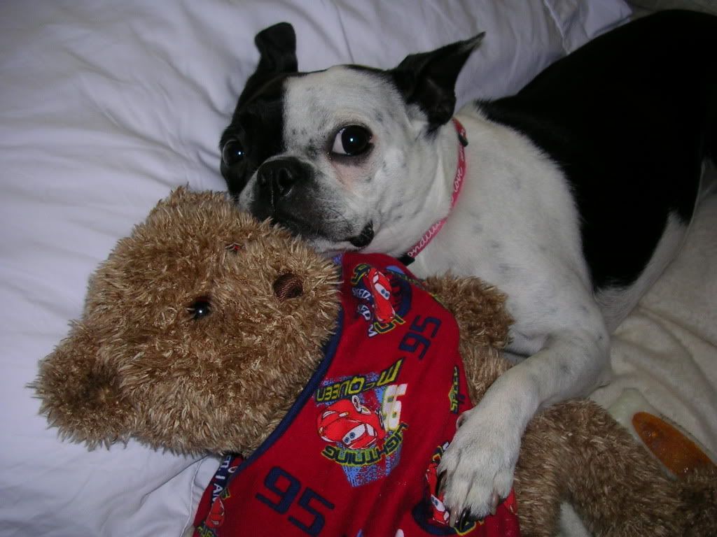 IMAGE: http://i681.photobucket.com/albums/vv178/tcpock/Other/DSCN3286.jpg