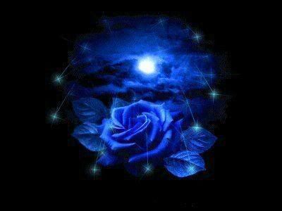 Blue Sureno Rose