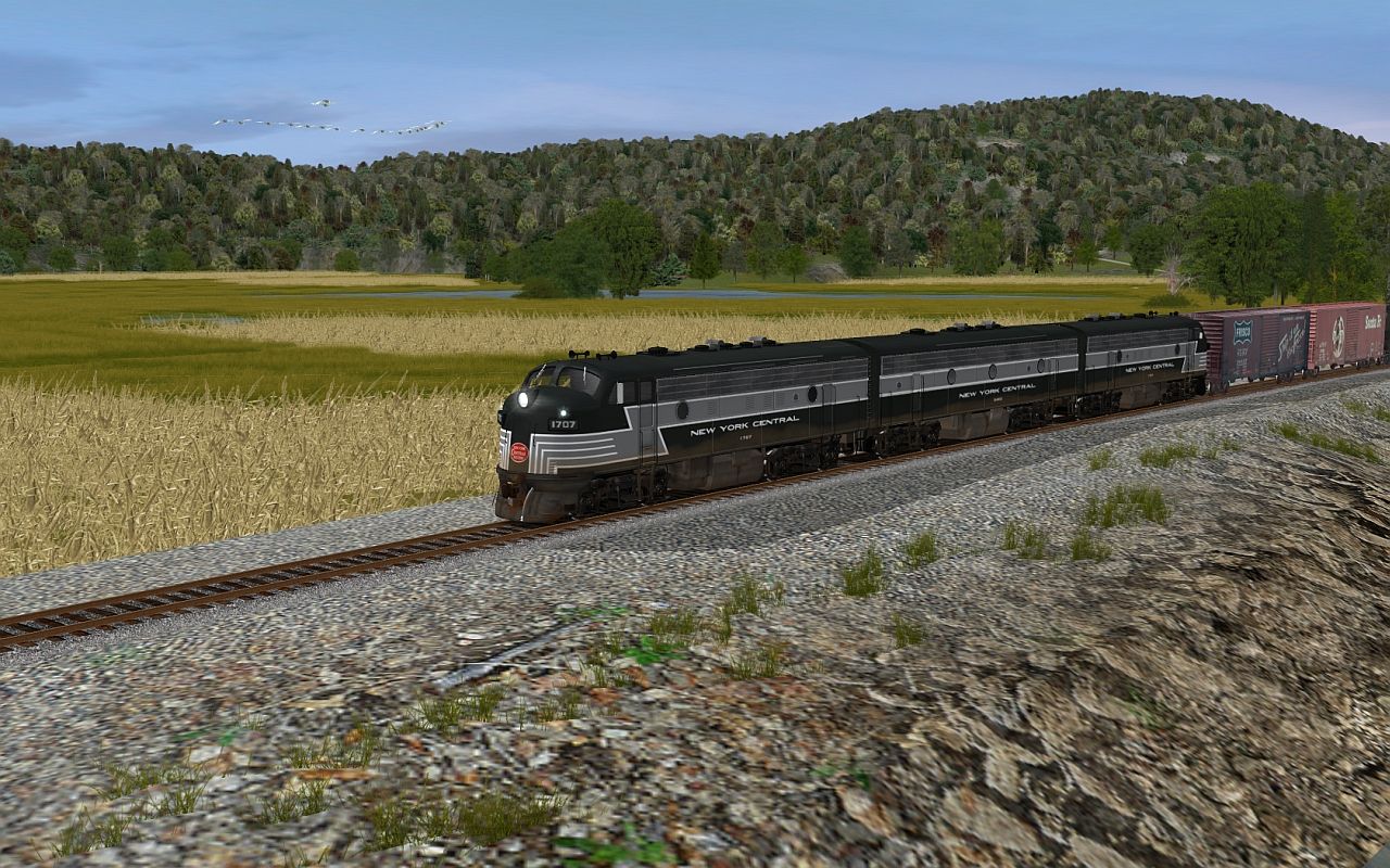 NYCF7A-B-AontheWestShore.jpg