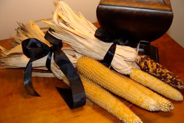 dried corn blk ribbon