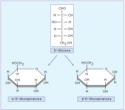 fig03.gif image by rodfe9