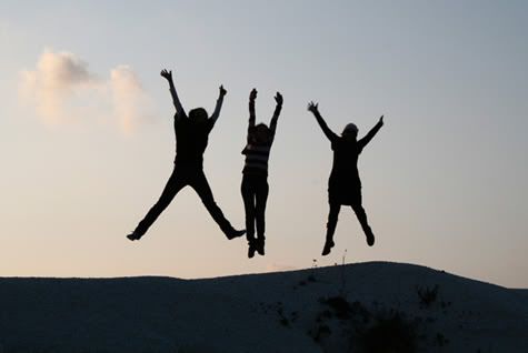 Jumping For Joy Silhouette